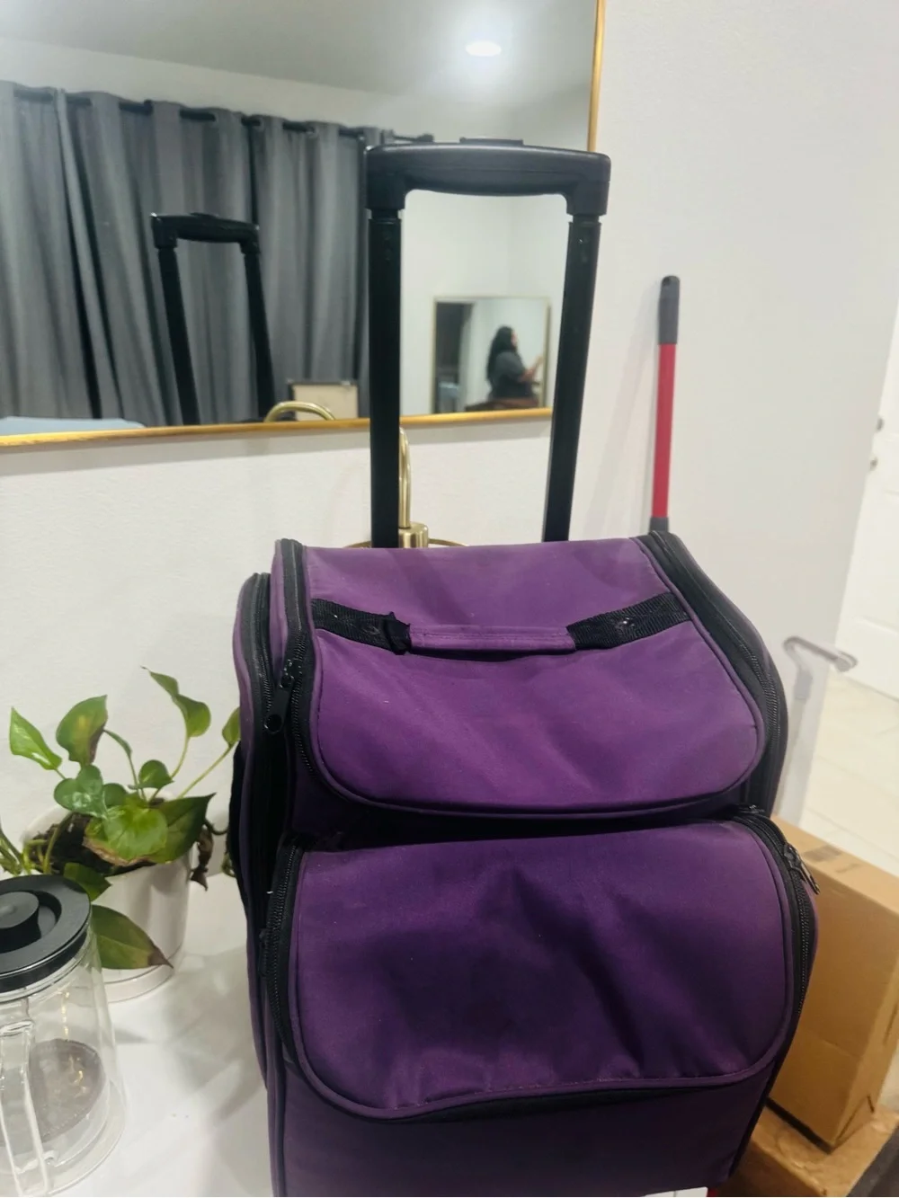 Purple  Travel Carry Bag - Stylish Utility Tote